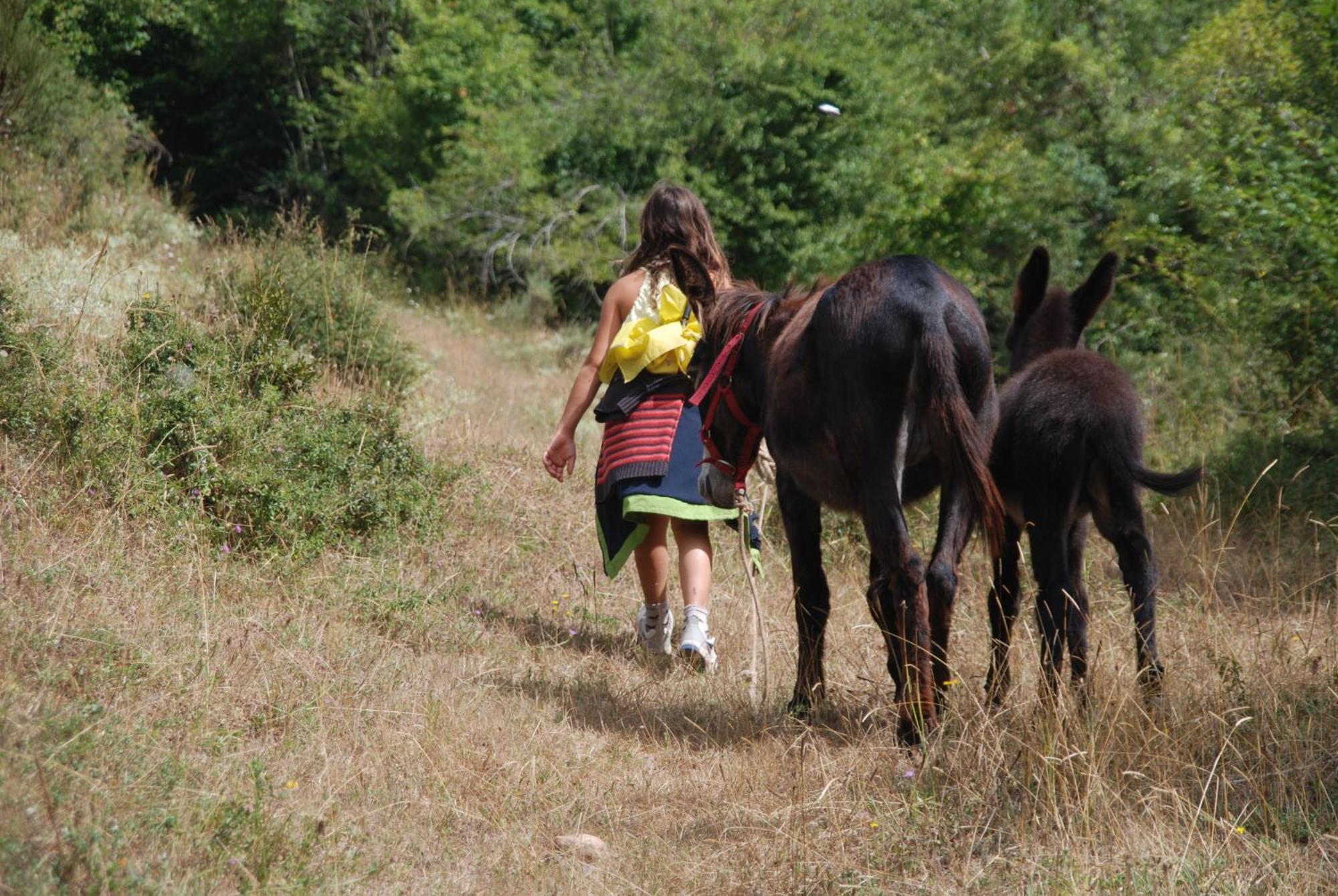 Agroturismo Mari Cruz Villanueva de Arce Eksteriør bilde